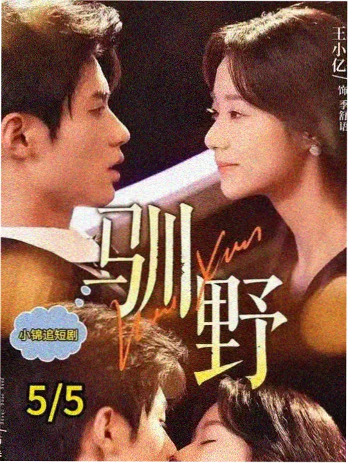 春夜漫游剧集海报